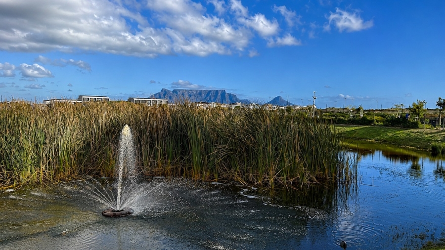 1 Bedroom Property for Sale in Sandown Western Cape